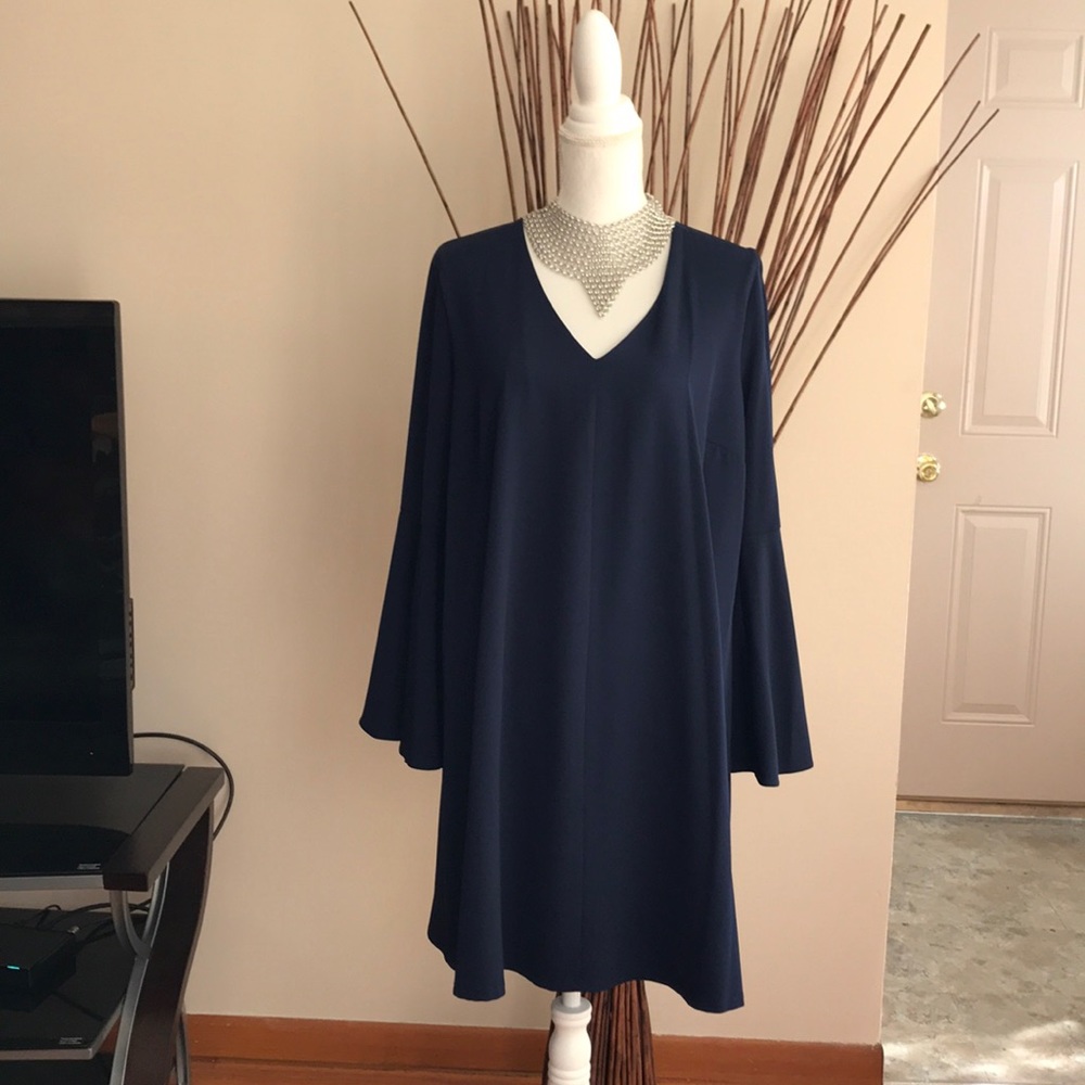 Eva Mendes/New York & Co dress